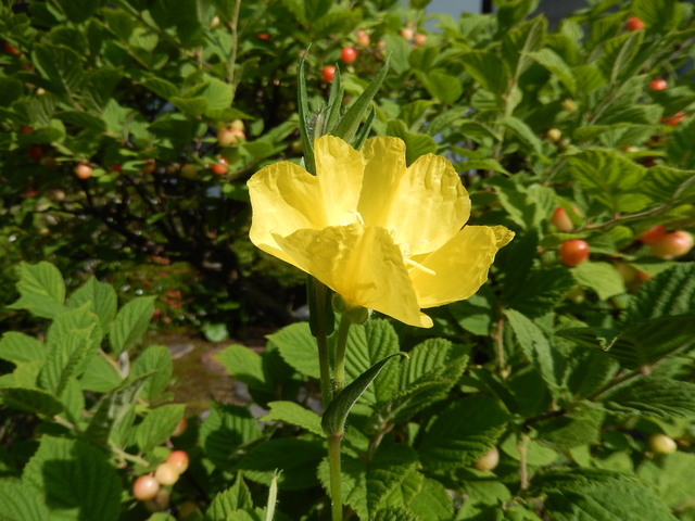DSCN1967.JPG